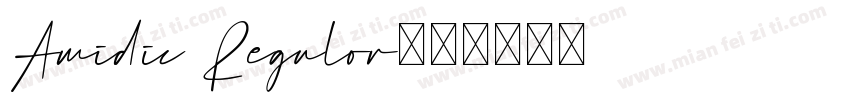 Amidic Regulor字体转换